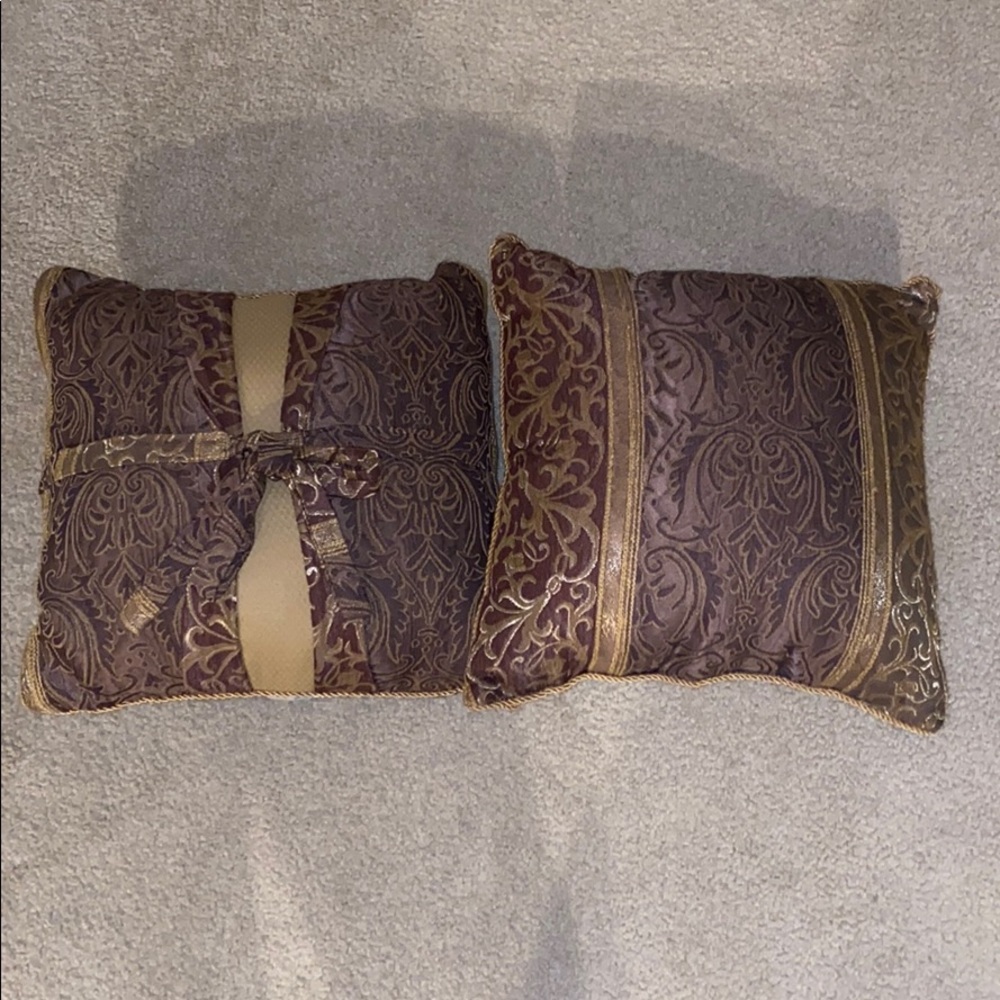 2 Decorative Throw Pillows